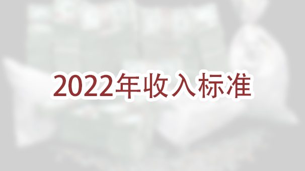 2022年申请婚姻绿卡需要达到多少收入？