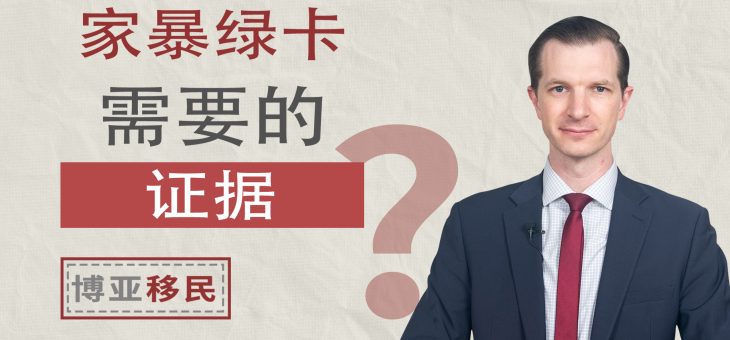 申请家暴绿卡时，如何证明自己遭受了家暴？