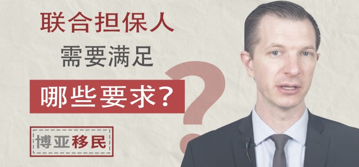 联合担保人需要满足哪些要求？