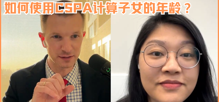如何使用CSPA计算子女的年龄？
