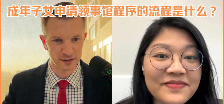 成年子女申请领事馆程序的流程是什么？