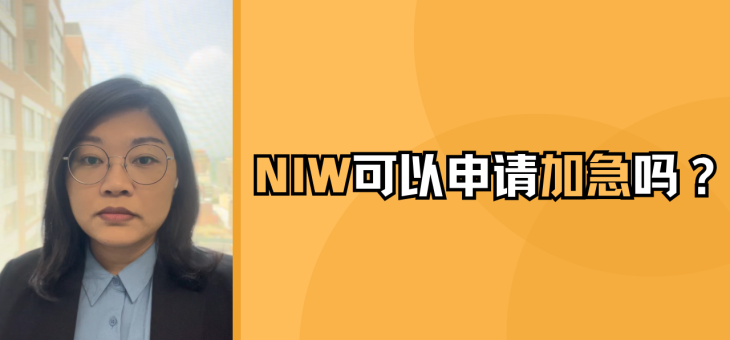 NIW可以申请加急吗