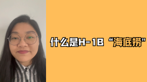 什么是H-1B“海底捞