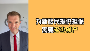 为新移民提供担保需要多少财产