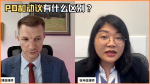 PD和动议有什么区别？