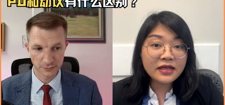 PD和动议有什么区别？