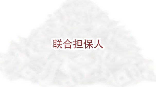 我可以花钱请人做我的联合担保人吗？